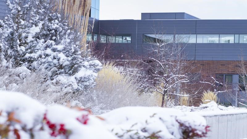 School of Medicine Building on snowy day 